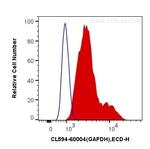 GAPDH Antibody in Flow Cytometry (Flow)