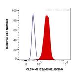 MSH6 Antibody in Flow Cytometry (Flow)
