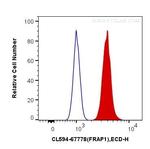 Phospho-mTOR (Ser2448) Antibody in Flow Cytometry (Flow)