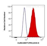 P53 Antibody in Flow Cytometry (Flow)