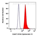 Cytokeratin 13 Antibody in Flow Cytometry (Flow)