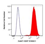 S100A11 Antibody in Flow Cytometry (Flow)