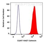 Calnexin Antibody in Flow Cytometry (Flow)