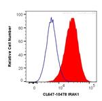 IRAK1 Antibody in Flow Cytometry (Flow)