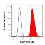 NCL Antibody in Flow Cytometry (Flow)