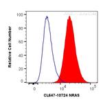 NRAS Antibody in Flow Cytometry (Flow)