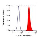 Septin 9 Antibody in Flow Cytometry (Flow)