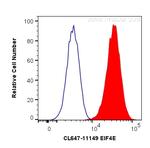 EIF4E Antibody in Flow Cytometry (Flow)