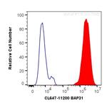 BAP31 Antibody in Flow Cytometry (Flow)