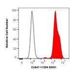 ENO1 Antibody in Flow Cytometry (Flow)