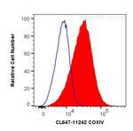 COXIV Antibody in Flow Cytometry (Flow)