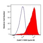 Cyclin E2 Antibody in Flow Cytometry (Flow)