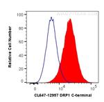 DRP1 Antibody in Flow Cytometry (Flow)