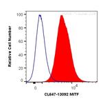 MITF Antibody in Flow Cytometry (Flow)