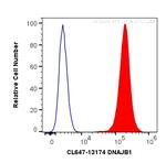 DNAJB1 Antibody in Flow Cytometry (Flow)