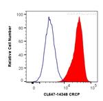 CRCP Antibody in Flow Cytometry (Flow)