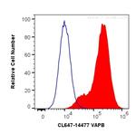 VAPB Antibody in Flow Cytometry (Flow)