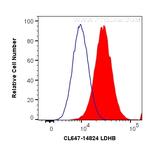 LDHB Antibody in Flow Cytometry (Flow)