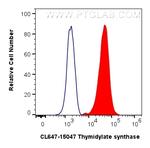 Thymidylate synthase Antibody in Flow Cytometry (Flow)