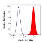 ACLY Antibody in Flow Cytometry (Flow)