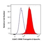 Transgelin-2 Antibody in Flow Cytometry (Flow)