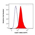 GSTP1 Antibody in Flow Cytometry (Flow)