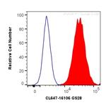 GS28 Antibody in Flow Cytometry (Flow)