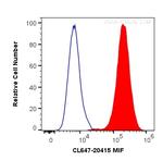 MIF Antibody in Flow Cytometry (Flow)