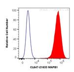 MAP1B Antibody in Flow Cytometry (Flow)