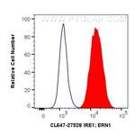 IRE1/ERN1 Antibody in Flow Cytometry (Flow)