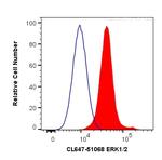 ERK1/2 Antibody in Flow Cytometry (Flow)
