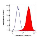 Galectin-3 Antibody in Flow Cytometry (Flow)