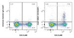 CD103 Antibody in Flow Cytometry (Flow)
