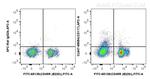 CD117/c-Kit Antibody in Flow Cytometry (Flow)