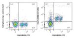 CD31 Antibody in Flow Cytometry (Flow)