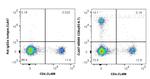 CD8a Antibody in Flow Cytometry (Flow)