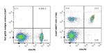 CD3 Antibody in Flow Cytometry (Flow)