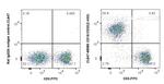 CD16/CD32 Antibody in Flow Cytometry (Flow)
