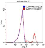 CD20 Antibody in Flow Cytometry (Flow)