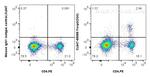 Foxp3 Antibody in Flow Cytometry (Flow)