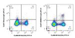 Foxp3 Antibody in Flow Cytometry (Flow)