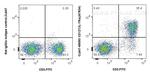 CD127 (IL-7Ra) Antibody in Flow Cytometry (Flow)