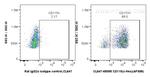 CSF1R/CD115 Antibody in Flow Cytometry (Flow)