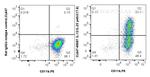 IL-12/IL-23 p40 Antibody in Flow Cytometry (Flow)