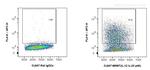 IL-12/IL-23 p40 Antibody in Flow Cytometry (Flow)