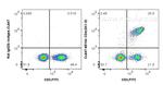 CD4 Antibody in Flow Cytometry (Flow)