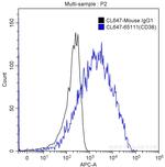 CD38 Antibody in Flow Cytometry (Flow)