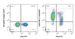 CD44 Antibody in Flow Cytometry (Flow)