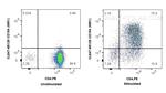 CD40L/CD154 Antibody in Flow Cytometry (Flow)