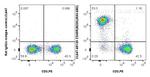 CD45R (B220) Antibody in Flow Cytometry (Flow)